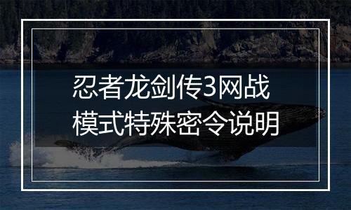 忍者龙剑传3网战模式特殊密令说明