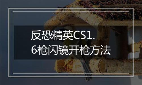 反恐精英CS1.6枪闪镜开枪方法