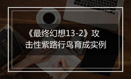 《最终幻想13-2》攻击性紫路行鸟育成实例