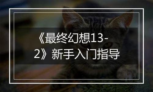 《最终幻想13-2》新手入门指导