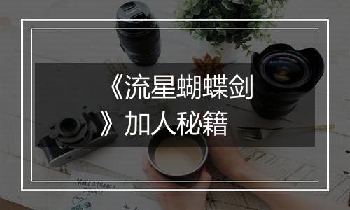 《流星蝴蝶剑》加人秘籍