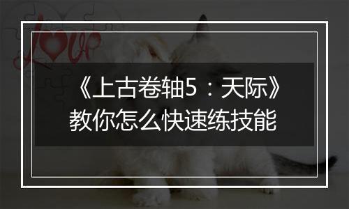 《上古卷轴5：天际》教你怎么快速练技能