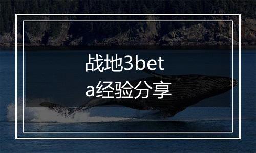 战地3beta经验分享