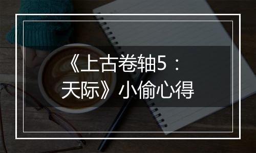 《上古卷轴5：天际》小偷心得
