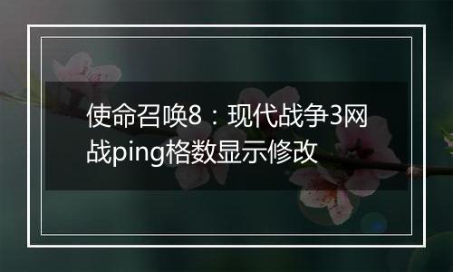 使命召唤8：现代战争3网战ping格数显示修改