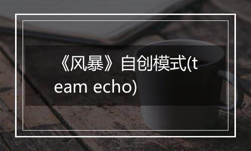 《风暴》自创模式(team echo)