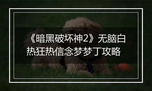 《暗黑破坏神2》无脑白热狂热信念梦梦丁攻略