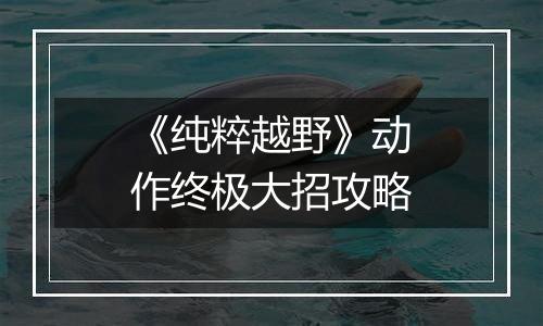 《纯粹越野》动作终极大招攻略