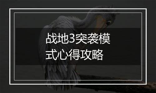 战地3突袭模式心得攻略