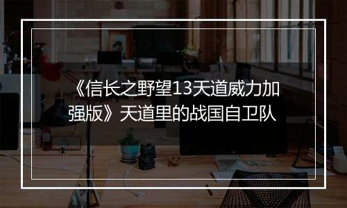 《信长之野望13天道威力加强版》天道里的战国自卫队
