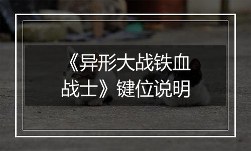 《异形大战铁血战士》键位说明