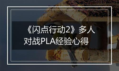 《闪点行动2》多人对战PLA经验心得