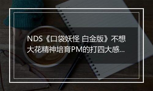 NDS《口袋妖怪 白金版》不想大花精神培育PM的打四大感想