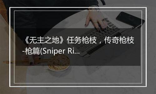 《无主之地》任务枪枝，传奇枪枝-枪篇(Sniper Rifles)