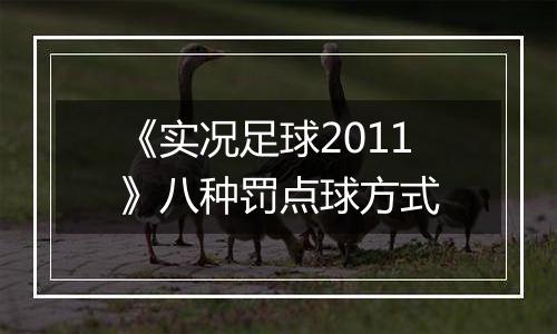 《实况足球2011》八种罚点球方式