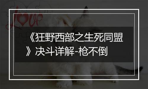 《狂野西部之生死同盟》决斗详解-枪不倒