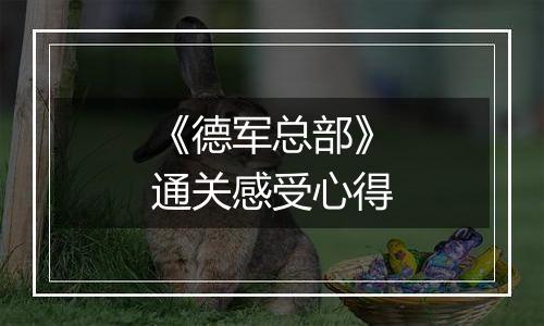 《德军总部》通关感受心得