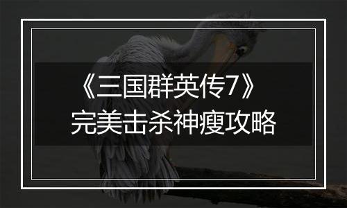 《三国群英传7》完美击杀神瘦攻略