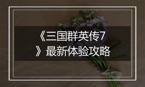 《三国群英传7》最新体验攻略