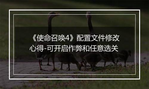 《使命召唤4》配置文件修改心得-可开启作弊和任意选关