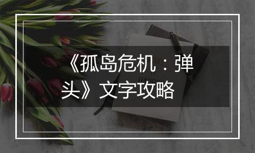 《孤岛危机：弹头》文字攻略