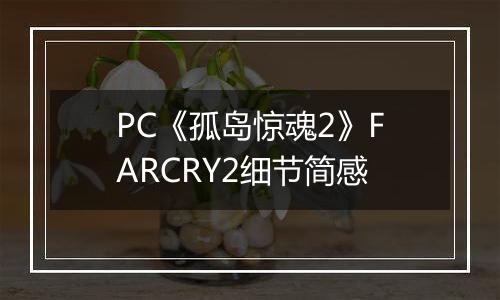 PC《孤岛惊魂2》FARCRY2细节简感