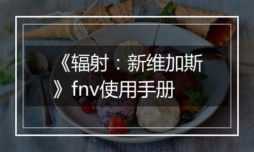 《辐射：新维加斯》fnv使用手册