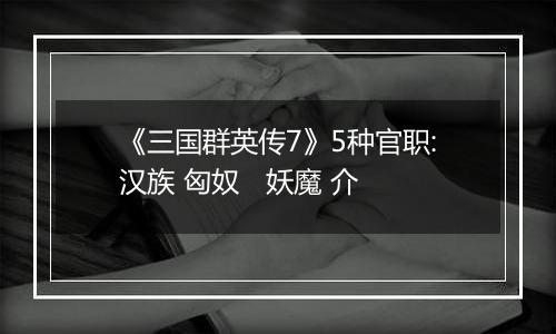 《三国群英传7》5种官职:汉族 匈奴   妖魔 介