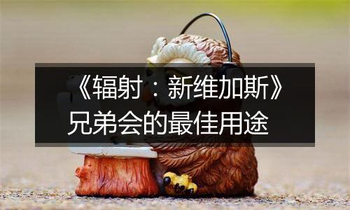 《辐射：新维加斯》兄弟会的最佳用途