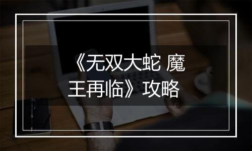 《无双大蛇 魔王再临》攻略