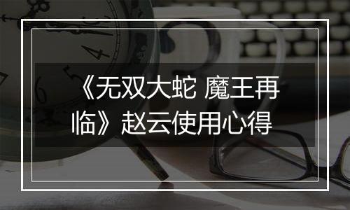 《无双大蛇 魔王再临》赵云使用心得
