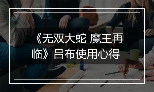 《无双大蛇 魔王再临》吕布使用心得