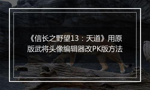 《信长之野望13：天道》用原版武将头像编辑器改PK版方法