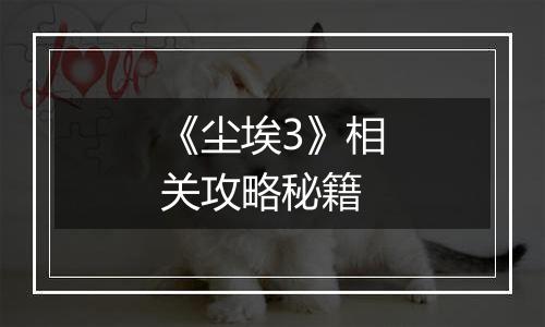 《尘埃3》相关攻略秘籍