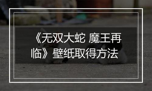 《无双大蛇 魔王再临》壁纸取得方法
