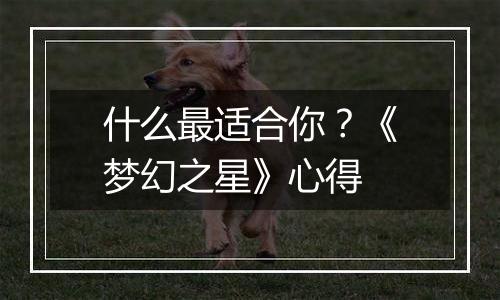 什么最适合你？《梦幻之星》心得