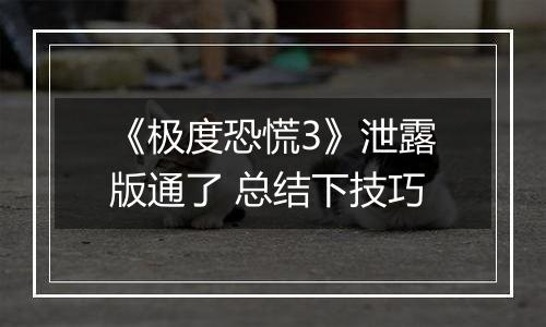 《极度恐慌3》泄露版通了 总结下技巧