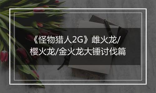 《怪物猎人2G》雌火龙/樱火龙/金火龙大锤讨伐篇