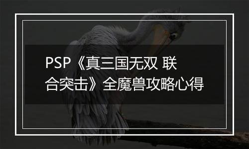 PSP《真三国无双 联合突击》全魔兽攻略心得