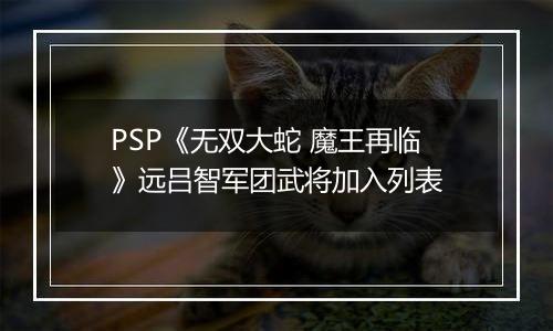 PSP《无双大蛇 魔王再临》远吕智军团武将加入列表