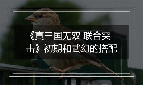 《真三国无双 联合突击》初期和武幻的搭配