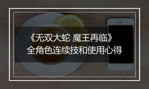 《无双大蛇 魔王再临》全角色连续技和使用心得