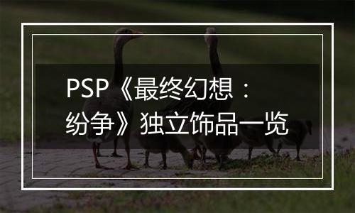 PSP《最终幻想：纷争》独立饰品一览