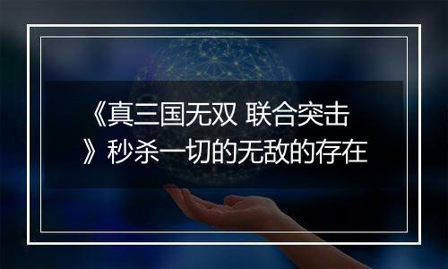 《真三国无双 联合突击》秒杀一切的无敌的存在