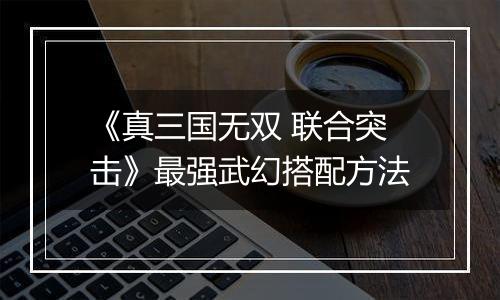 《真三国无双 联合突击》最强武幻搭配方法
