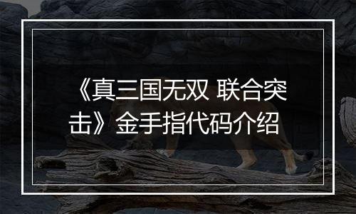 《真三国无双 联合突击》金手指代码介绍