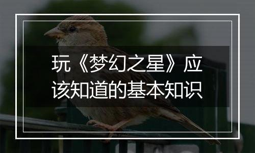 玩《梦幻之星》应该知道的基本知识