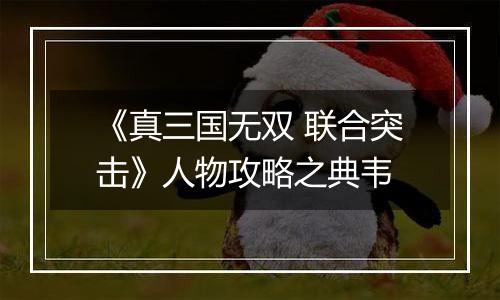 《真三国无双 联合突击》人物攻略之典韦