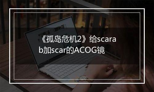 《孤岛危机2》给scarab加scar的ACOG镜