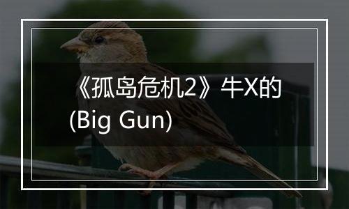 《孤岛危机2》牛X的(Big Gun)